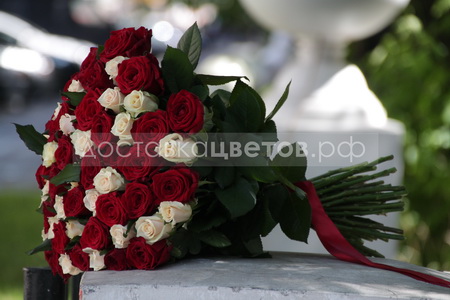 Букет из 51 розы "Красные и кремовые розы"